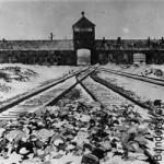 Bundesarchiv_KZ, Nazi, Nationalsozialismus, Auschwitz