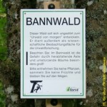 Bannwald Wald, Forst, Umwelt, Natur