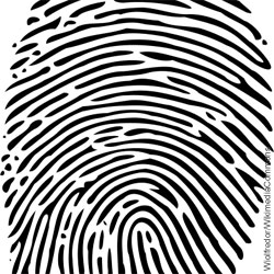 Fingerprint-Datenschutz