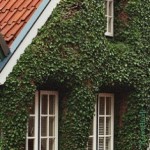 Wärmedämmung, Energiepolitik