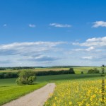 Ländlicher Raum, Natur, Landwirtschaft, Umweltpolitik, Energien, Erneuerbare Energien