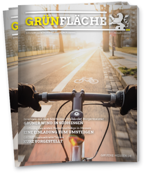 GRÜNFläche Cover 3/2019