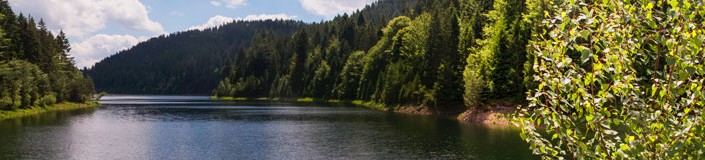Headerbild Umwelt- und Naturschutz