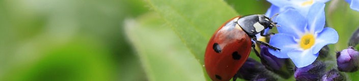 Headerbild Tierschutz